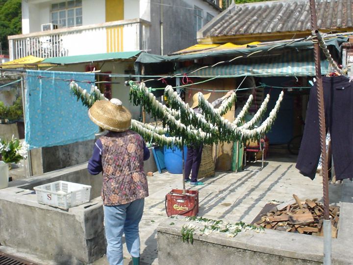 dsc01345