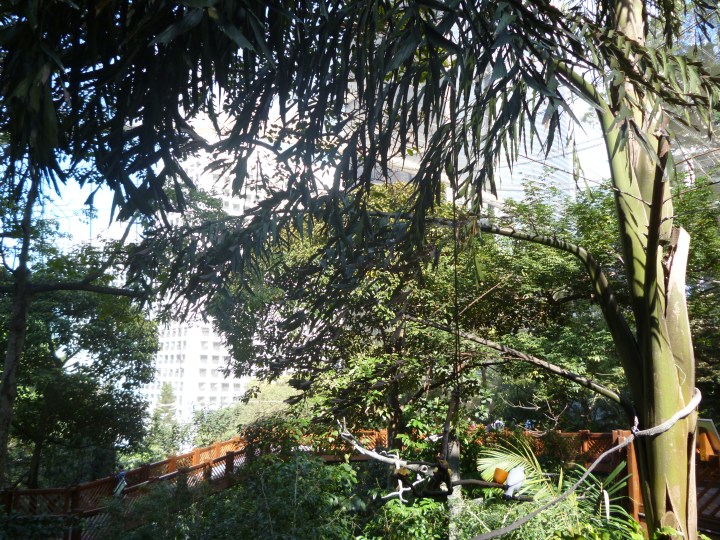 p1050964