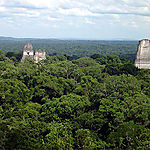 pt21398.1233185.sq150